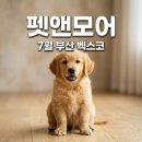 (주)벡스코 | 부산 펫앤모어 2026 벡스코 후기, 사전등록 주차 꿀팁 총정리