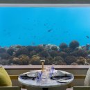 아일라리조트 이미지