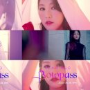 보토패스 카카오 검색결과