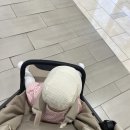 무뚱 | 잉글레시나 퀴드3 휴대용 유모차 사용 후기