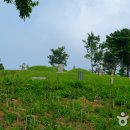 신산5리 이미지