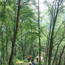 월란정사(月瀾精舍) 이미지