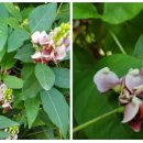 이영우농장 이미지