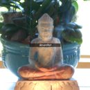 블루클리프 Daum카페