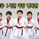 영진태권도 이미지