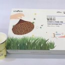 유니베라신