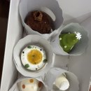 레종졸리
