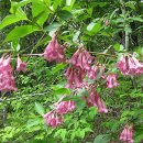 해룡농장 이미지