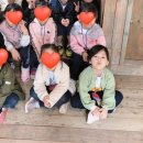 정후푸드
