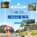 가평노팅힐계곡애견펜션 | 가평 노팅힐 계곡애견펜션 직접 다녀온 솔직 후기