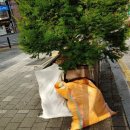 황제장 모텔 이미지