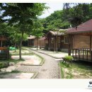016-교하-016 Daum카페