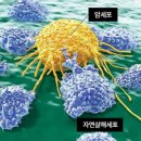 ㈜서울약업 네이버블로그