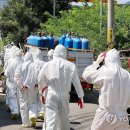 양돈 농장 이미지