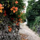 배롱나무 특화거리 이미지