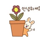 중앙수예 이미지