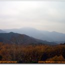 매화산목장 이미지