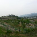 옥천풍경 이미지