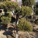 주혜농장 이미지