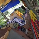 비금농장 이미지