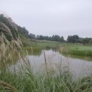 헤런((Heron)