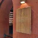 1833 | 도쿄 긴자식스 푸에기아1833 럭셔리 향수 시향후기