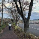 더큐브하우스리조트 이미지