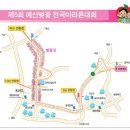 2010년 제1차 공식대회 공지 이미지