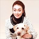 포르테의원 이미지