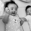 주성이네 옷 이미지