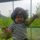 산들농장2 이미지