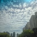 비빔밥&죽해까득해운대 | 부산 한우 오마카세 해운대 스무고개 추천 및 후기