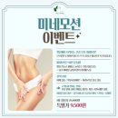 엘로이테라피 네이버블로그