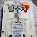 원일세탁소 네이버블로그