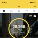 호텔세일즈로제 | 홍콩 여행 4박 5일 - 2일차