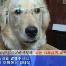 99 네이버블로그