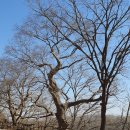 경기둘레길 연천9코스 이미지