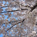 문산 내과] 파주 문산에서 내과 잘 보는 곳, 건강검진·내시경 최신 시설 서울바른정내과의원 방문 후기
