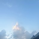 이향복손칼국수 이미지