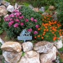 바다소식 이미지