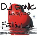 Fall in Love 이미지
