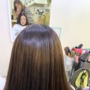devert(드벌트)