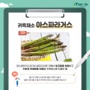 삼삼데이 이미지