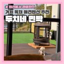 아늑펜션B민박 | 거제 독채 애견펜션 추천 두치네 민박 찐 후기