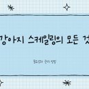 청송동물병원 이미지