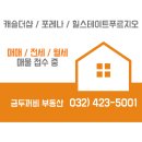 금두꺼비 공인중개사사무소 이미지