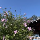 서천초교병설유치원 이미지