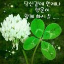 탁구 (중급반) 이미지