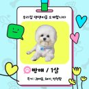 행복하지 않을 이유는 없어!