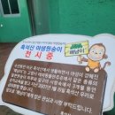 해남동물나라 이미지